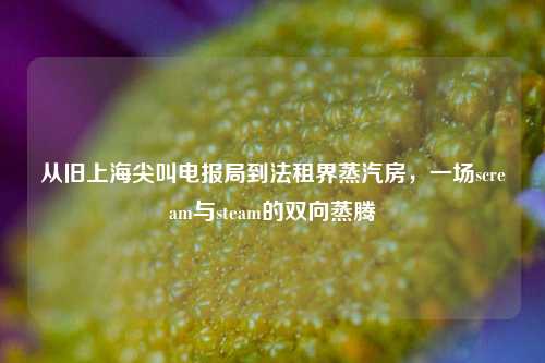 从旧上海尖叫电报局到法租界蒸汽房，一场scream与steam的双向蒸腾