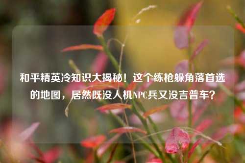 和平精英冷知识大揭秘！这个练枪躲角落首选的地图，居然既没人机NPC兵又没吉普车？