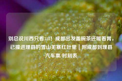 别总说川西只看318！成都出发盖碗茶还暖着胃，已撞进理县的雪山羌寨红叶里｜附成都到理县汽车票/时刻表