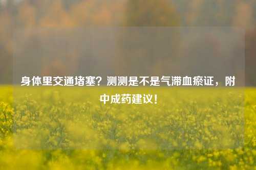 身体里交通堵塞？测测是不是气滞血瘀证，附中成药建议！