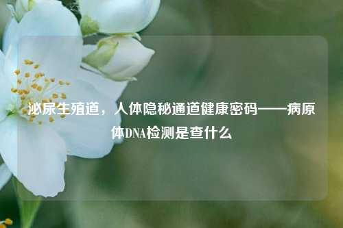泌尿生殖道，人体隐秘通道健康密码——病原体DNA检测是查什么