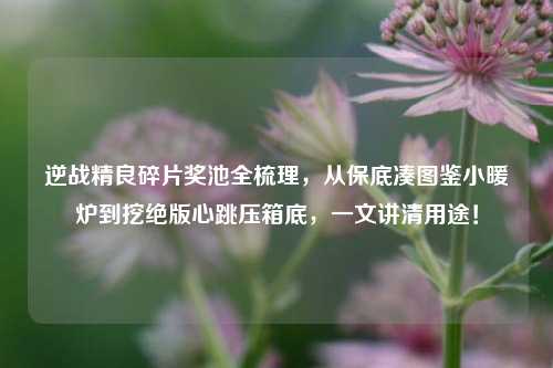 逆战精良碎片奖池全梳理，从保底凑图鉴小暖炉到挖绝版心跳压箱底，一文讲清用途！