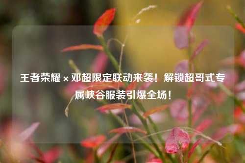 王者荣耀×邓超限定联动来袭！解锁超哥式专属峡谷服装引爆全场！