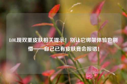 LOL现双重皮肤相关提示！别让它绑架体验也别懵——自己已有皮肤竟会报错！