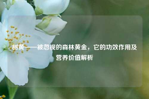 树黄——被忽视的森林黄金，它的功效作用及营养价值解析