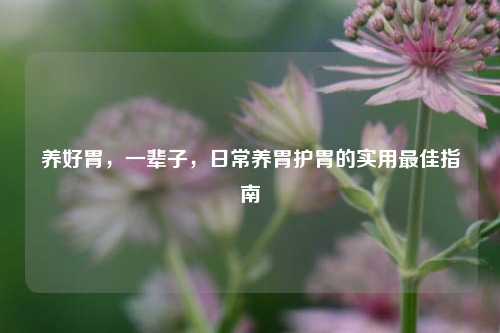 养好胃，一辈子，日常养胃护胃的实用最佳指南