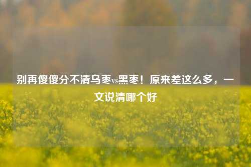 别再傻傻分不清乌枣vs黑枣！原来差这么多，一文说清哪个好