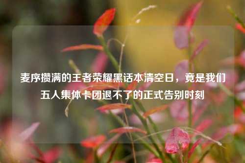 麦序攒满的王者荣耀黑话本清空日，竟是我们五人集体卡团退不了的正式告别时刻