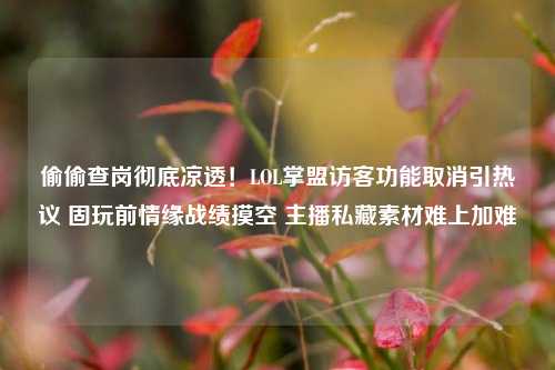 偷偷查岗彻底凉透！LOL掌盟访客功能取消引热议 固玩前情缘战绩摸空 主播私藏素材难上加难
