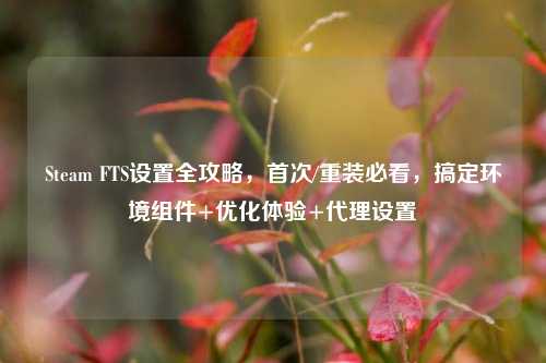 Steam FTS设置全攻略，首次/重装必看，搞定环境组件+优化体验+代理设置