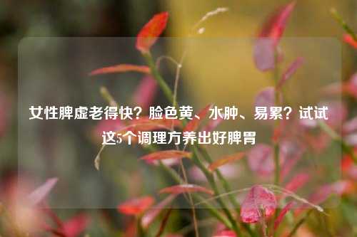 女性脾虚老得快？脸色黄、水肿、易累？试试这5个调理方养出好脾胃