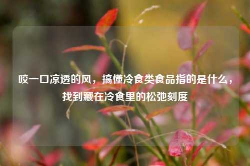 咬一口凉透的风，搞懂冷食类食品指的是什么，找到藏在冷食里的松弛刻度