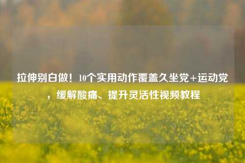拉伸别白做！10个实用动作覆盖久坐党+运动党，缓解酸痛、提升灵活性视频教程