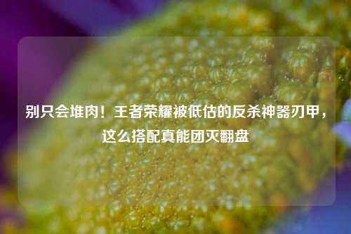 别只会堆肉！王者荣耀被低估的反杀神器刃甲，这么搭配真能团灭翻盘