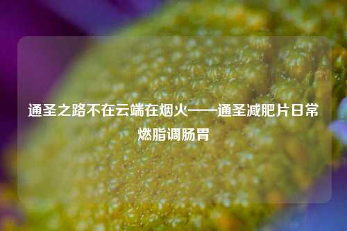 通圣之路不在云端在烟火——通圣减肥片日常燃脂调肠胃