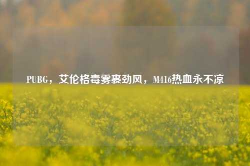 PUBG，艾伦格毒雾裹劲风，M416热血永不凉