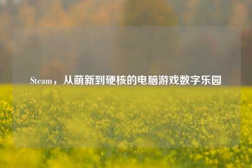 Steam，从萌新到硬核的电脑游戏数字乐园