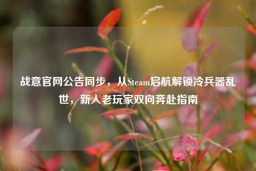 战意官网公告同步，从Steam启航解锁冷兵器乱世，新人老玩家双向奔赴指南
