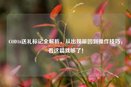 COD16送礼标记全解析，从出现原因到操作技巧，看这篇就够了！