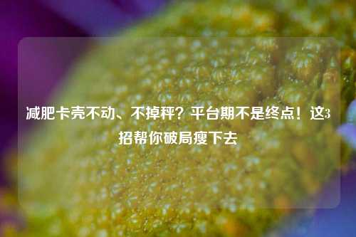 减肥卡壳不动、不掉秤？平台期不是终点！这3招帮你破局瘦下去