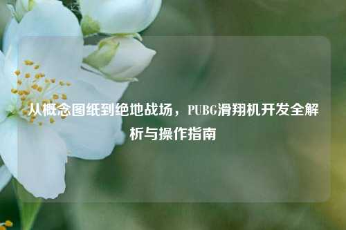 从概念图纸到绝地战场，PUBG滑翔机开发全解析与操作指南