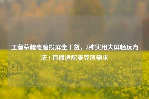 王者荣耀电脑投屏全干货，3种实用大屏畅玩方法+直播适配麦克风需求
