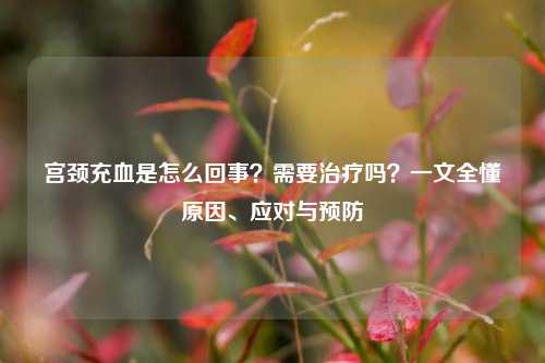 宫颈充血是怎么回事？需要治疗吗？一文全懂原因、应对与预防