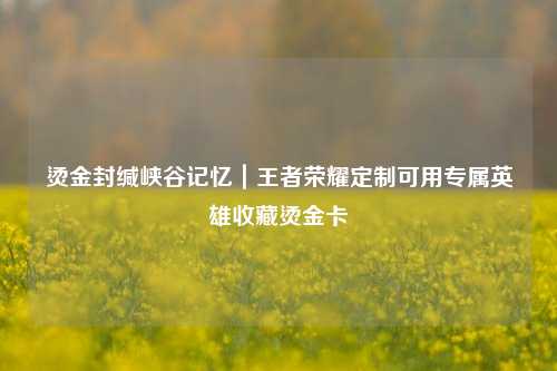 烫金封缄峡谷记忆｜王者荣耀定制可用专属英雄收藏烫金卡