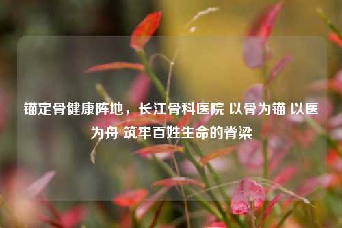 锚定骨健康阵地，长江骨科医院 以骨为锚 以医为舟 筑牢百姓生命的脊梁