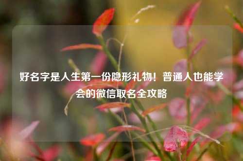 好名字是人生第一份隐形礼物！普通人也能学会的微信取名全攻略