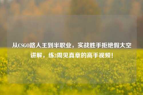 从CSGO路人王到半职业，实战胜手拒绝假大空讲解，练2周见真章的高手视频！