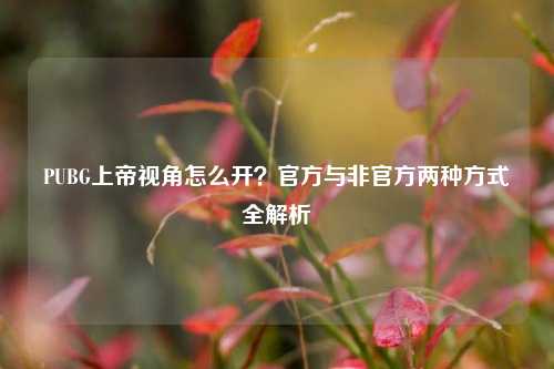 PUBG上帝视角怎么开？官方与非官方两种方式全解析