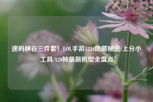 速码峡谷三件套！LOL手游1234隐藏秘密/上分小工具/120帧最新机型全盘点