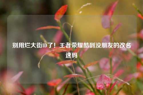 别用烂大街ID了！王者荣耀酷到没朋友的改名速码
