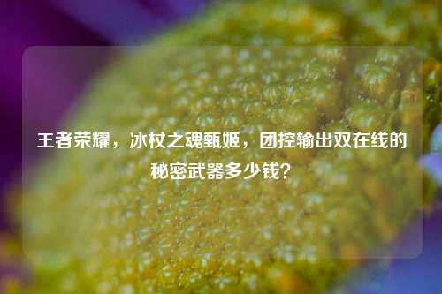 王者荣耀，冰杖之魂甄姬，团控输出双在线的秘密武器多少钱？