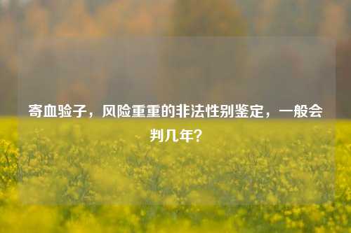 寄血验子，风险重重的非法性别鉴定，一般会判几年？
