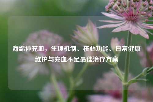 海绵体充血，生理机制、核心功能、日常健康维护与充血不足最佳治疗方案