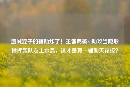 遭喊混子的辅助炸了！王者局破30助攻当隐形指挥架队友上水晶，这才是真·辅助天花板？