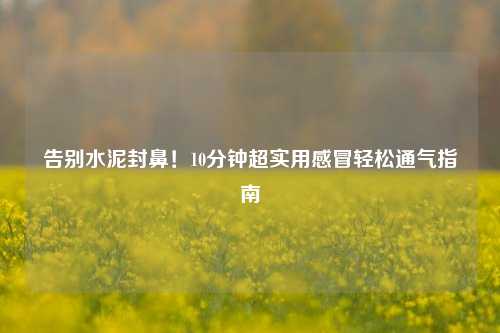 告别水泥封鼻！10分钟超实用感冒轻松通气指南