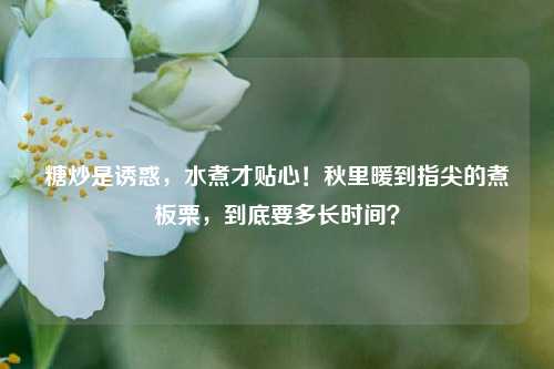 糖炒是诱惑，水煮才贴心！秋里暖到指尖的煮板栗，到底要多长时间？