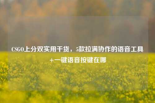 CSGO上分双实用干货，5款拉满协作的语音工具+一键语音按键在哪