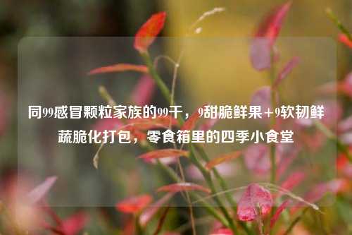 同99感冒颗粒家族的99干，9甜脆鲜果+9软韧鲜蔬脆化打包，零食箱里的四季小食堂