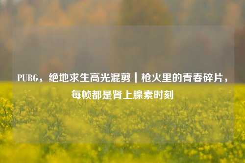 PUBG，绝地求生高光混剪｜枪火里的青春碎片，每帧都是肾上腺素时刻