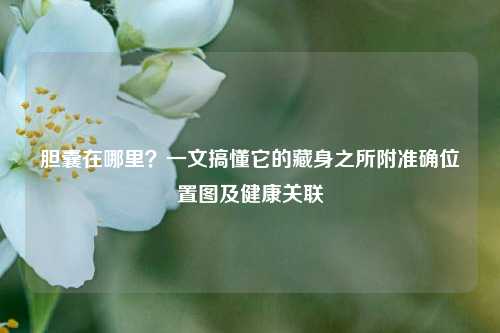 胆囊在哪里？一文搞懂它的藏身之所附准确位置图及健康关联