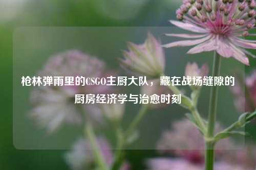 枪林弹雨里的CSGO主厨大队，藏在战场缝隙的厨房经济学与治愈时刻