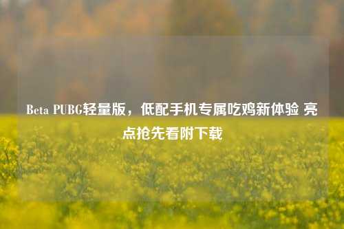 Beta PUBG轻量版，低配手机专属吃鸡新体验 亮点抢先看附下载