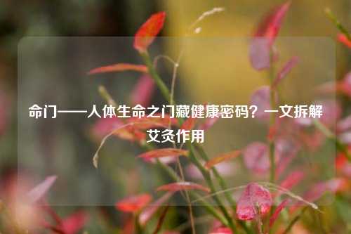 命门——人体生命之门藏健康密码？一文拆解艾灸作用