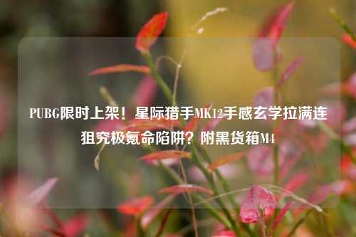 PUBG限时上架！星际猎手MK12手感玄学拉满连狙究极氪命陷阱？附黑货箱M4