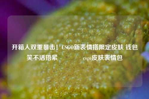 开箱人双重暴击！CSGO新表情搭限定皮肤 钱包笑不活捂紧🥹csgo皮肤表情包