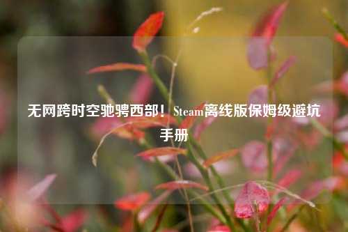 无网跨时空驰骋西部！Steam离线版保姆级避坑手册